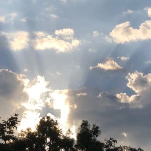 Meet your Posher, Jayden